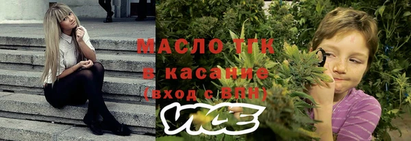 дживик Кинешма